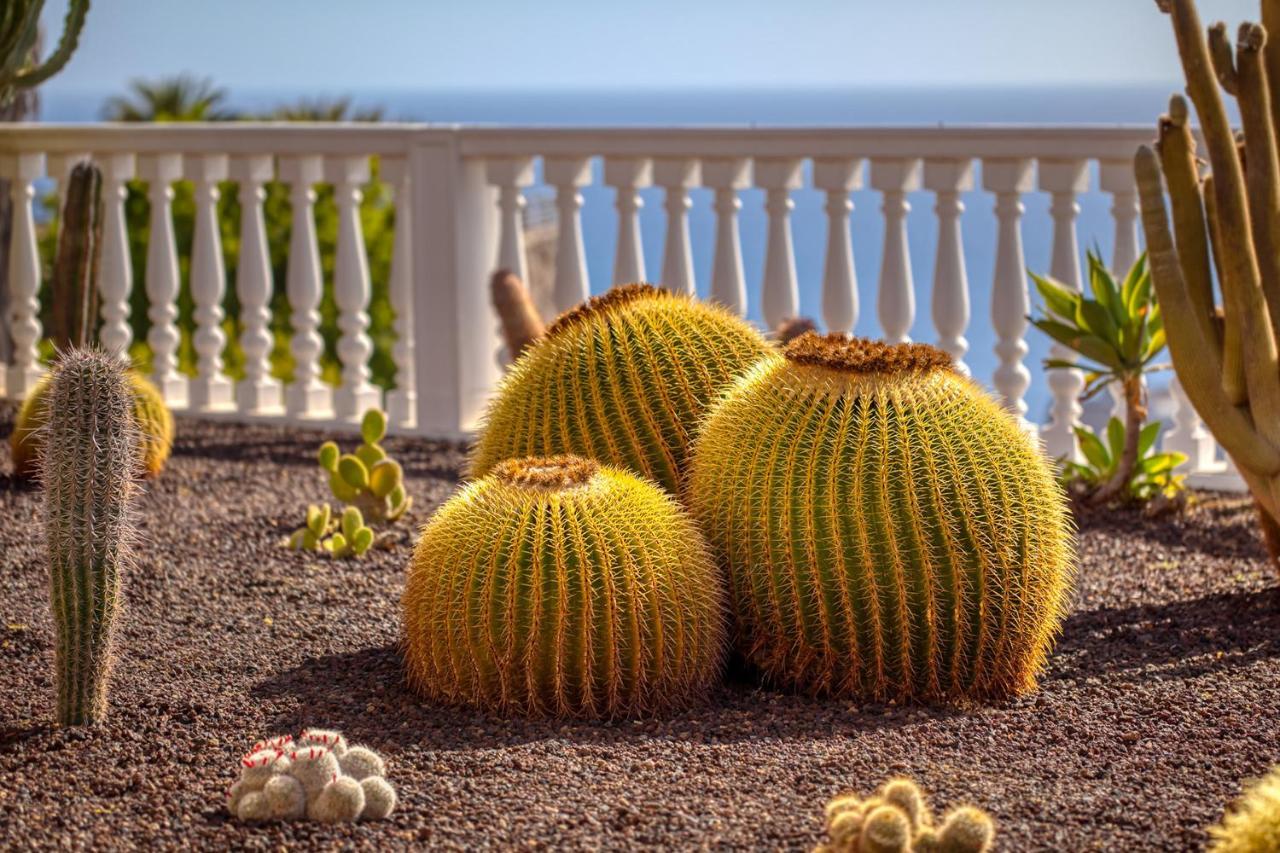 Stunning Villa With Breathtaking Ocean View Mogán Kültér fotó